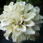 This bouquet features approximately 50 Mini Ivory Calla
Lilies & Swarovski Crystals.. 