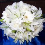 White Oriental  Lilies, Mini  White 
Gerbera Daisies, Akito Roses and 
Stephanotis 